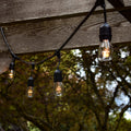 Taft Outdoor 15 - Bulb 576'' Plug-in String Light